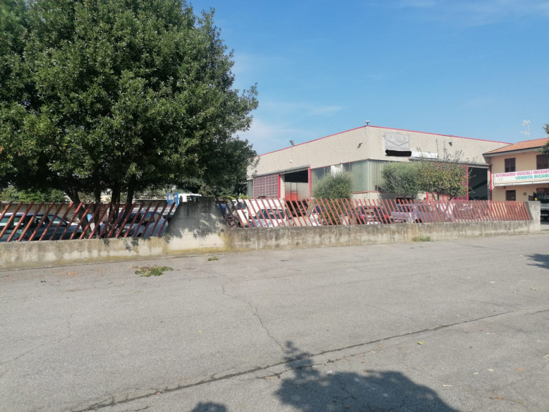 immagine annuncio 6 di 8