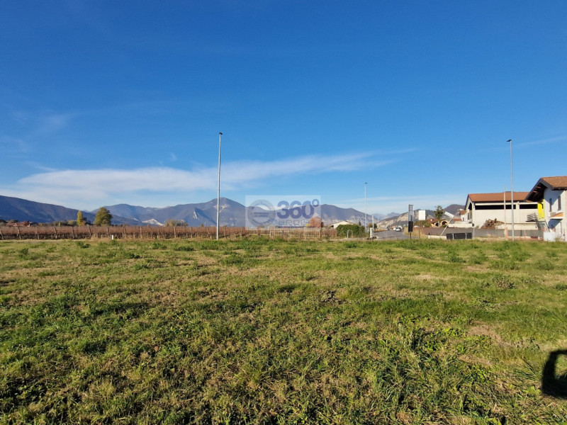 immagine annuncio 4 di 6