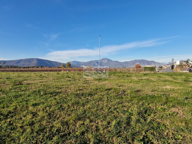 immagine annuncio 3 di 6