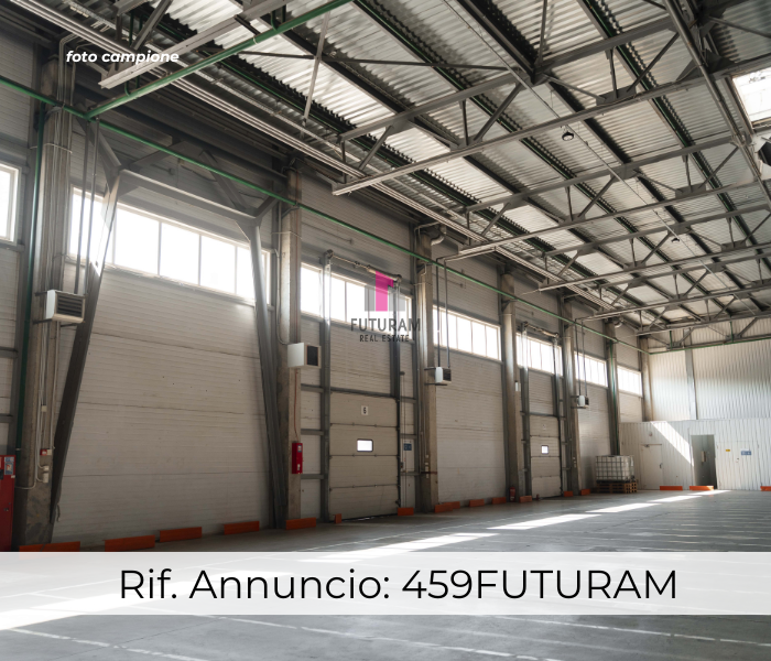 immagine annuncio 3 di 10