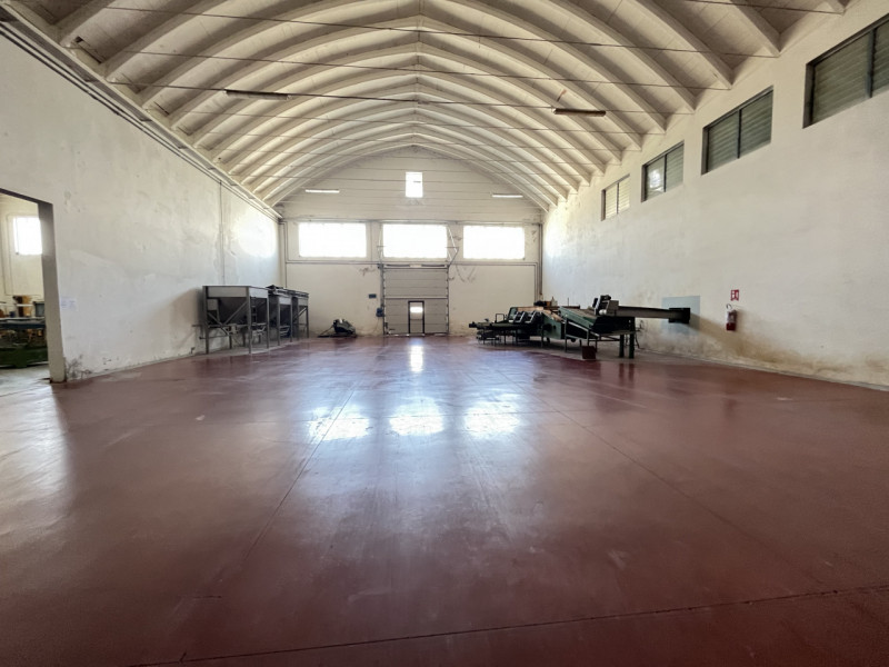 immagine annuncio 4 di 6