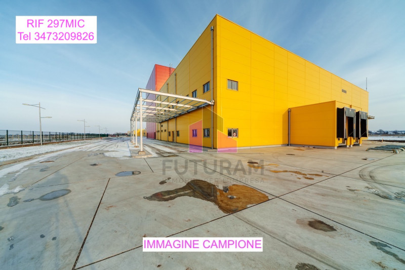 immagine annuncio 2 di 10