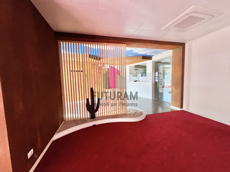 immagine annuncio 6 di 10