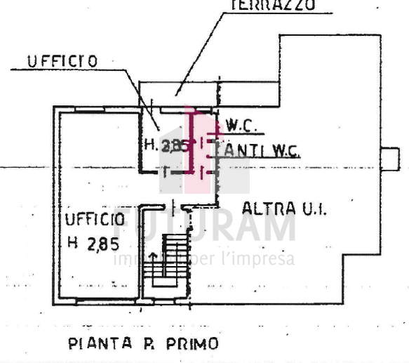 immagine annuncio 9 di 10
