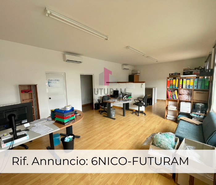 immagine annuncio 4 di 6