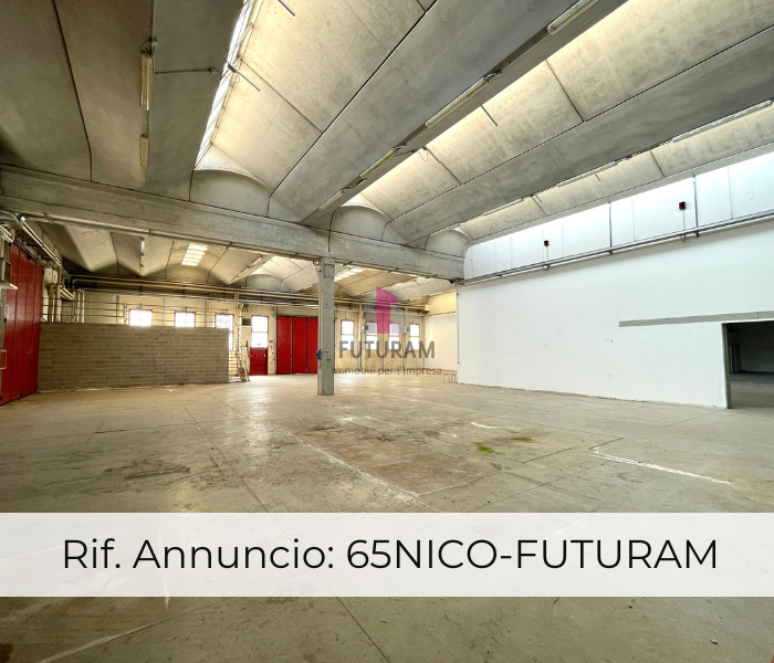 immagine annuncio 4 di 10