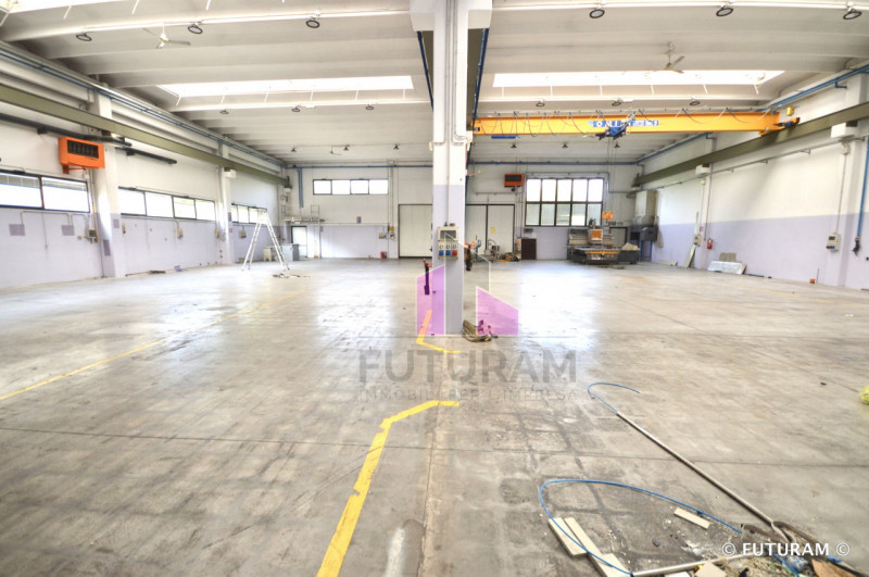 immagine annuncio 6 di 10