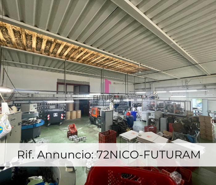 immagine annuncio 1 di 10