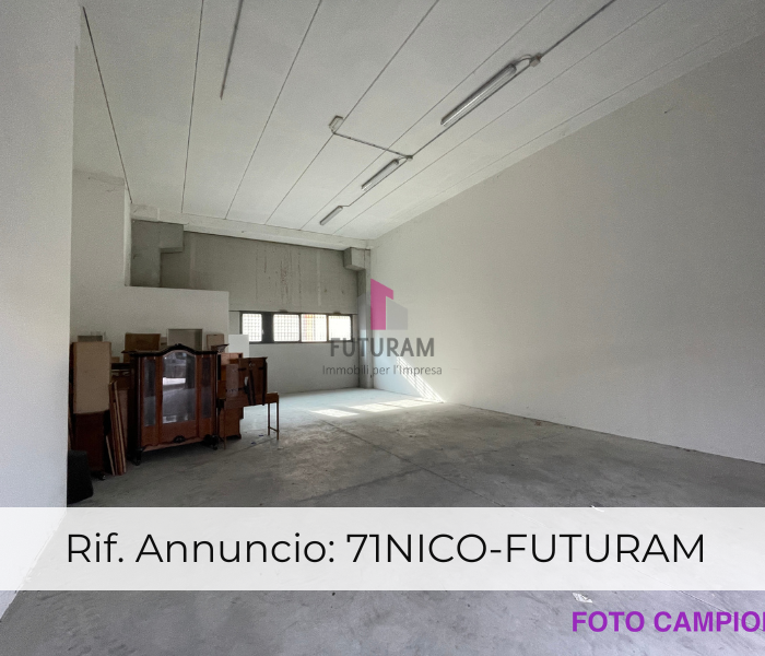 immagine annuncio 2 di 10