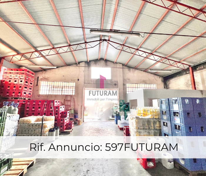 immagine annuncio 2 di 9