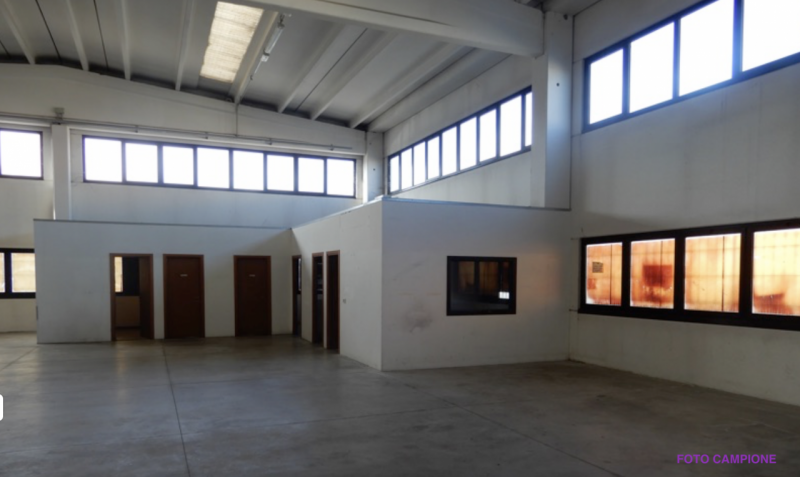 immagine annuncio 6 di 8