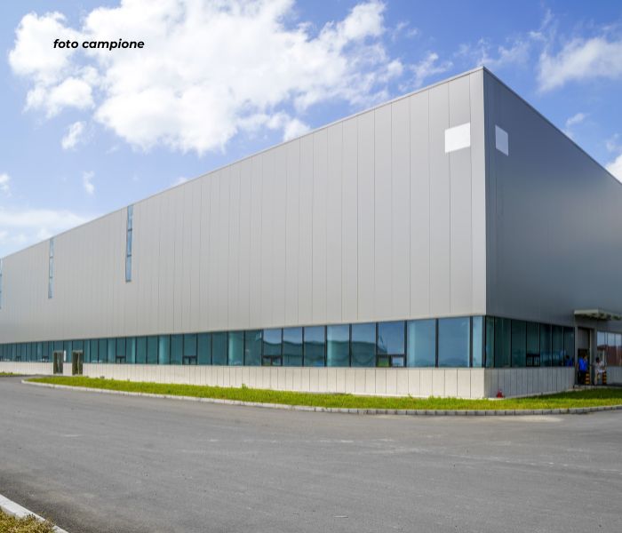 immagine annuncio 6 di 9