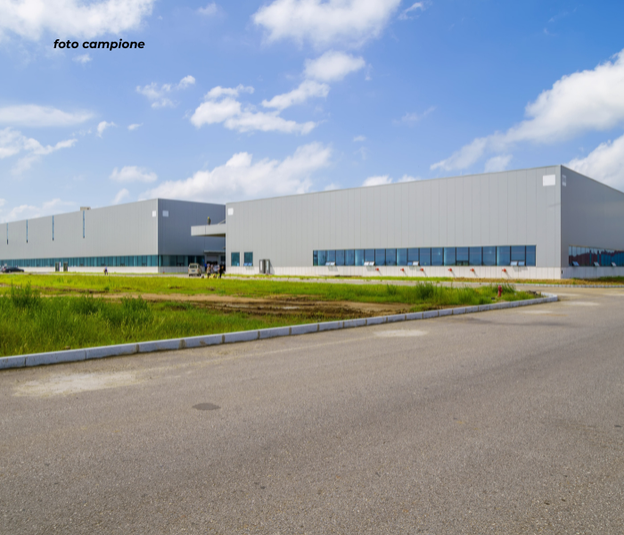 immagine annuncio 6 di 9