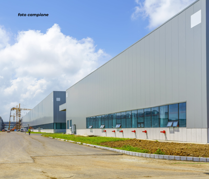 immagine annuncio 3 di 9