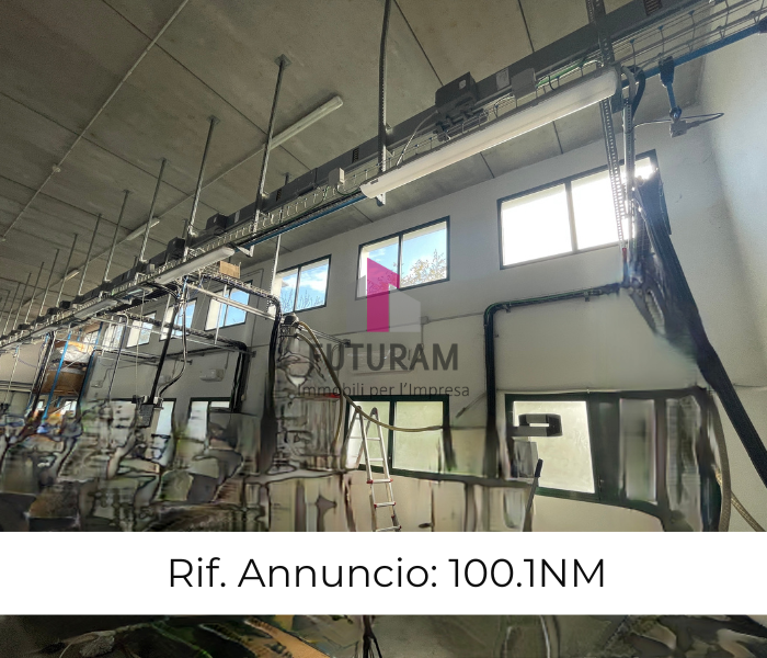 immagine annuncio 2 di 10