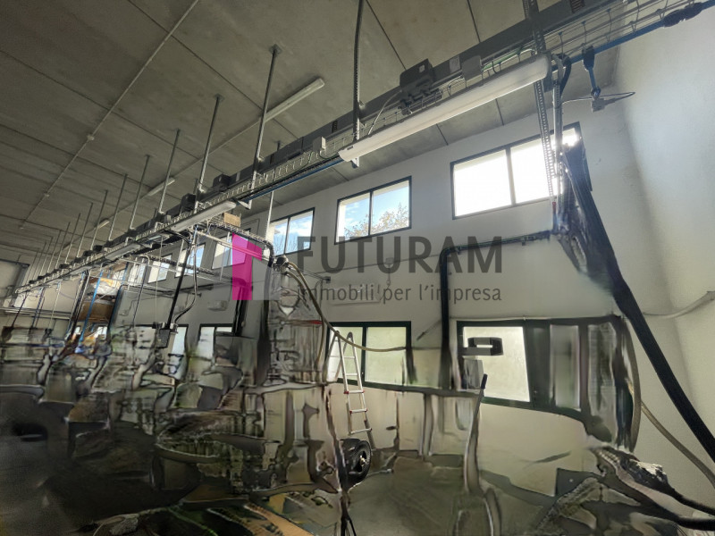 immagine annuncio 4 di 10