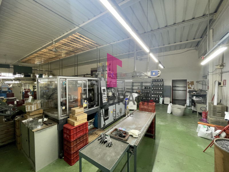 immagine annuncio 2 di 10