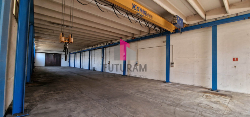 immagine annuncio 1 di 8