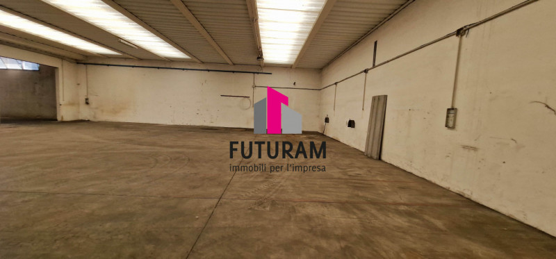 immagine annuncio 2 di 8