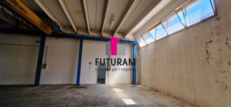 immagine annuncio 3 di 8