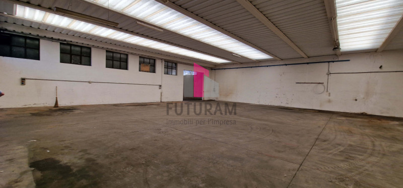 immagine annuncio 4 di 8