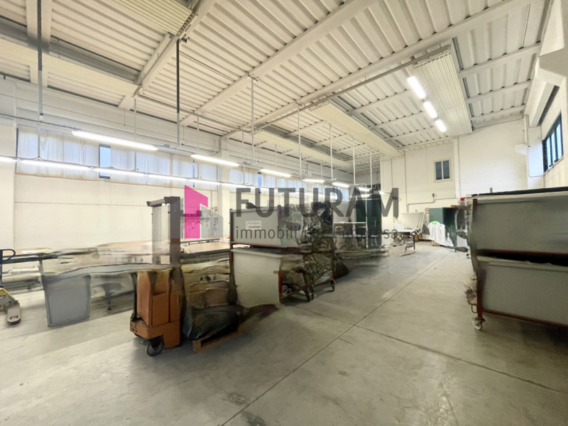 immagine annuncio 5 di 10