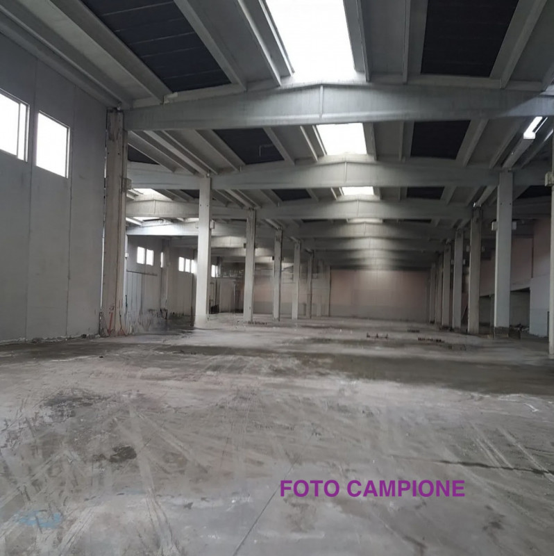 immagine annuncio 4 di 10