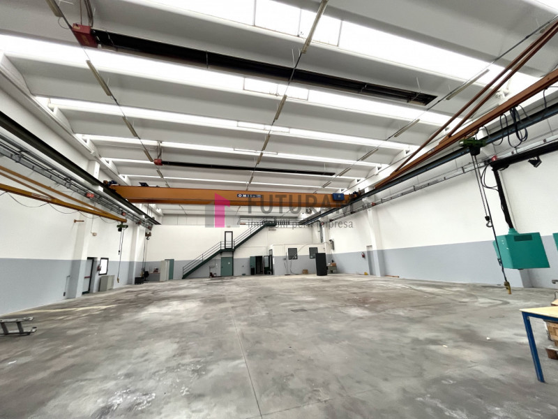 immagine annuncio 2 di 10