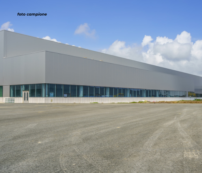 immagine annuncio 9 di 10