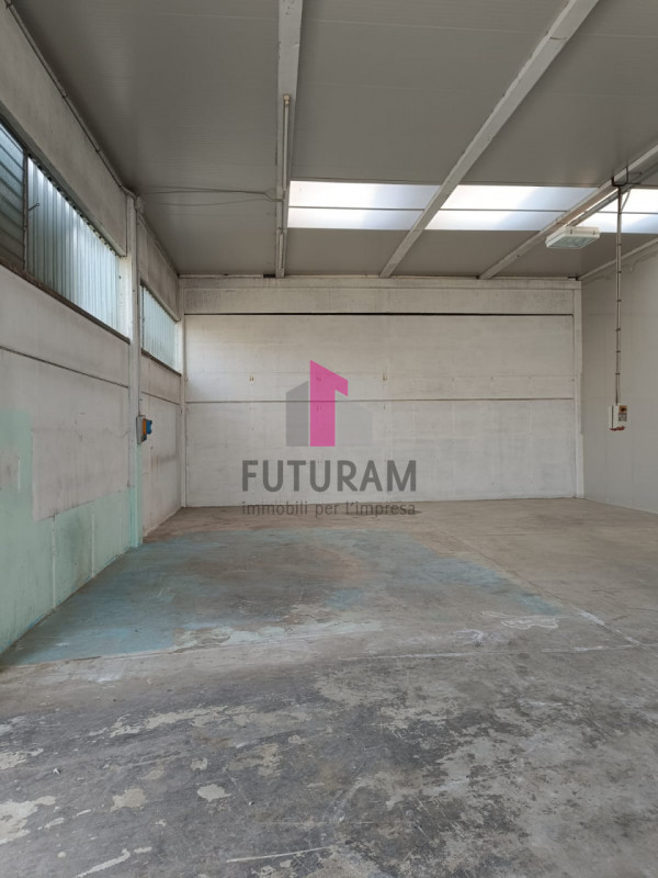 immagine annuncio 2 di 4