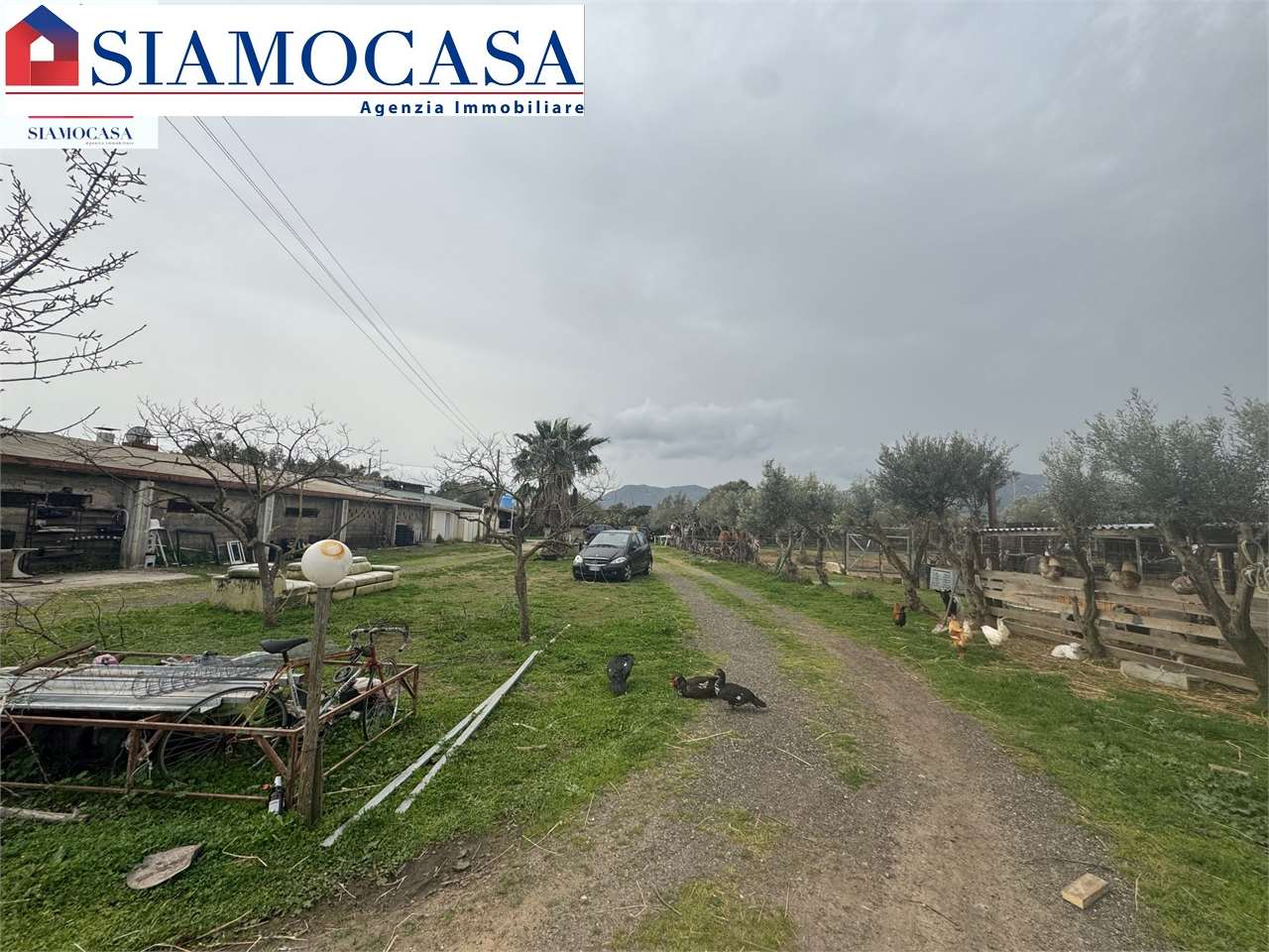 immagine annuncio 1 di 10