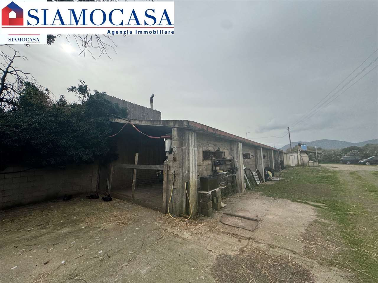 immagine annuncio 4 di 10