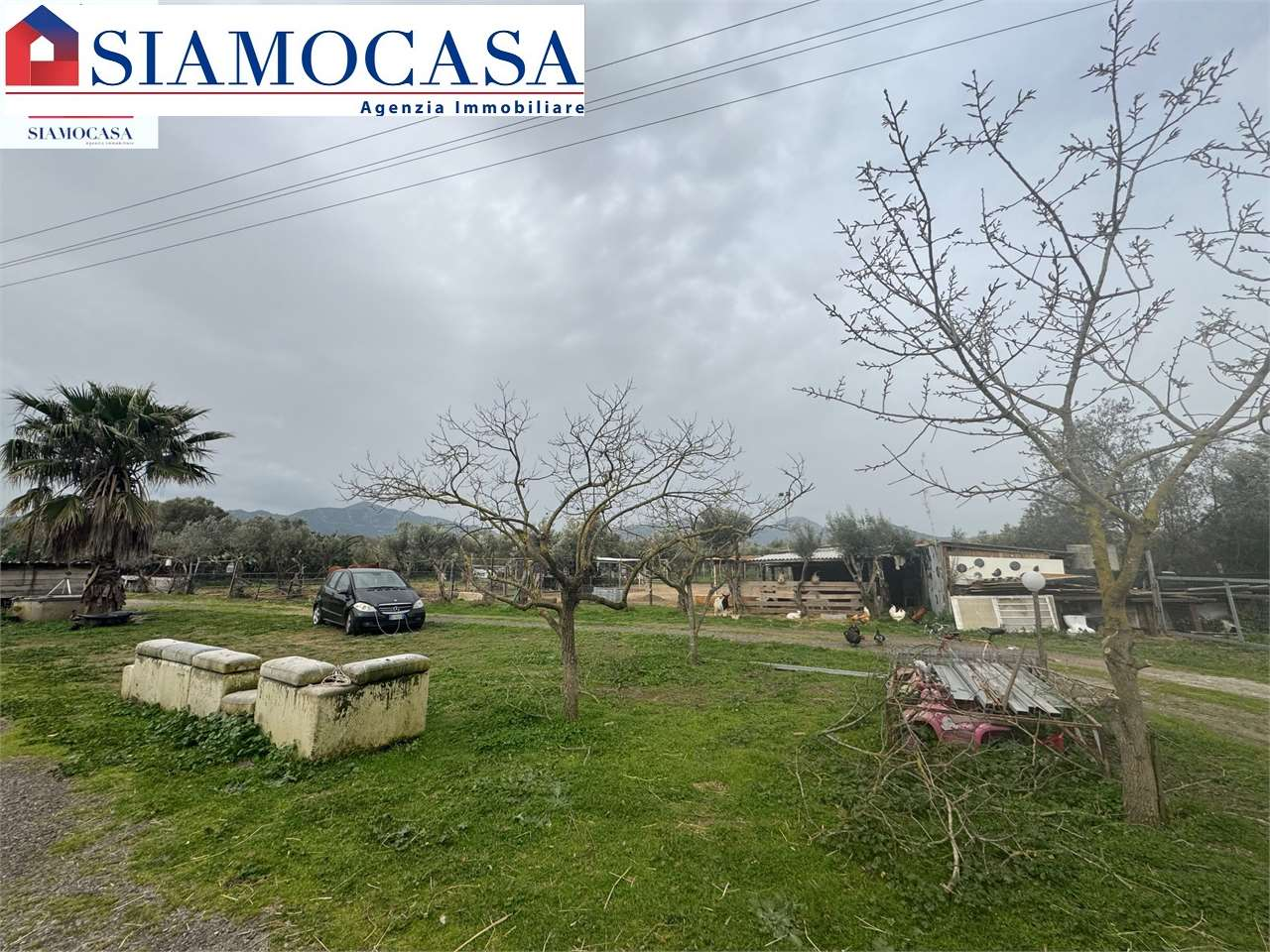 immagine annuncio 5 di 10