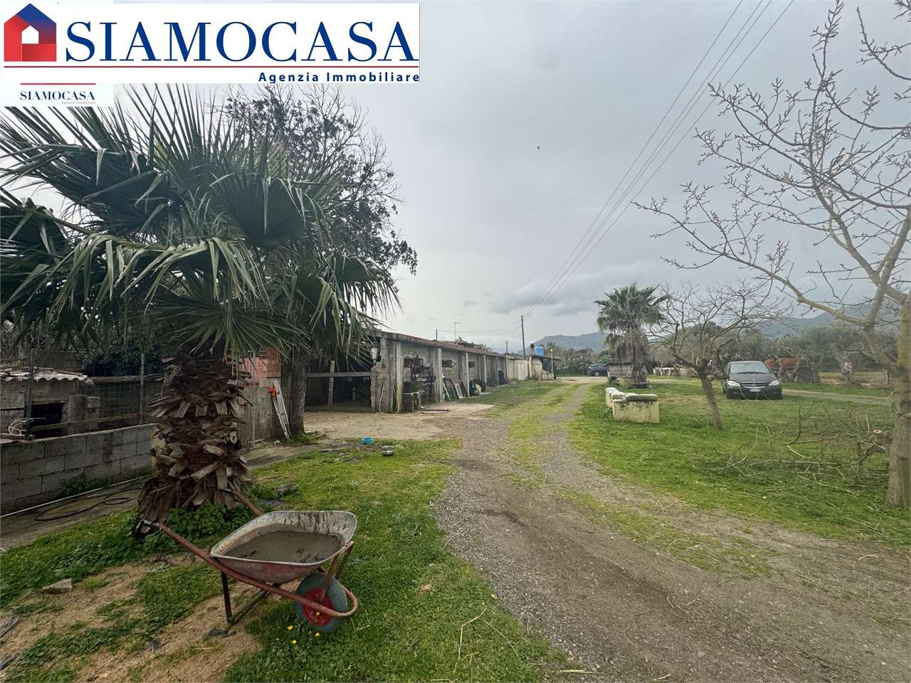 immagine annuncio 7 di 10