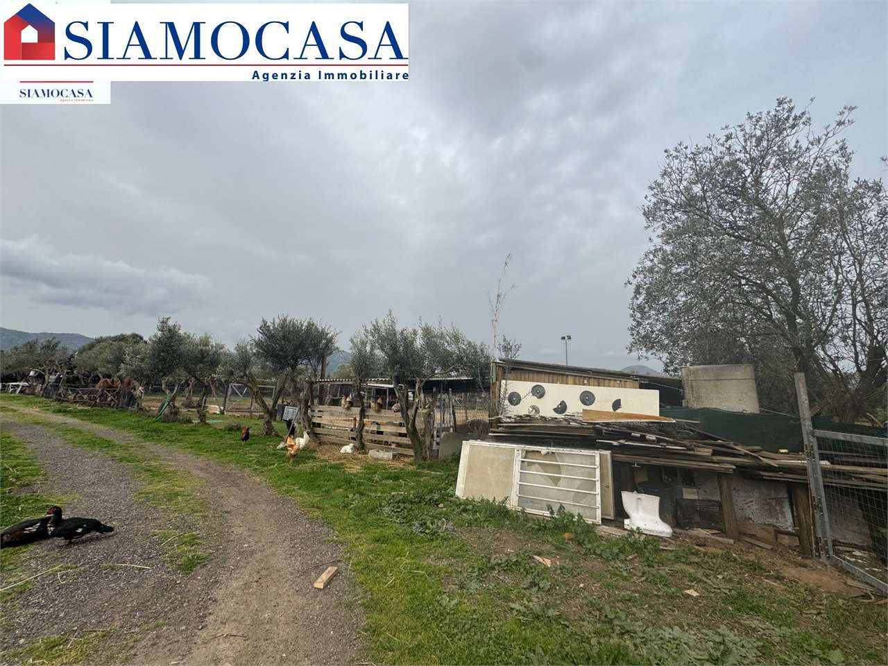 immagine annuncio 9 di 10