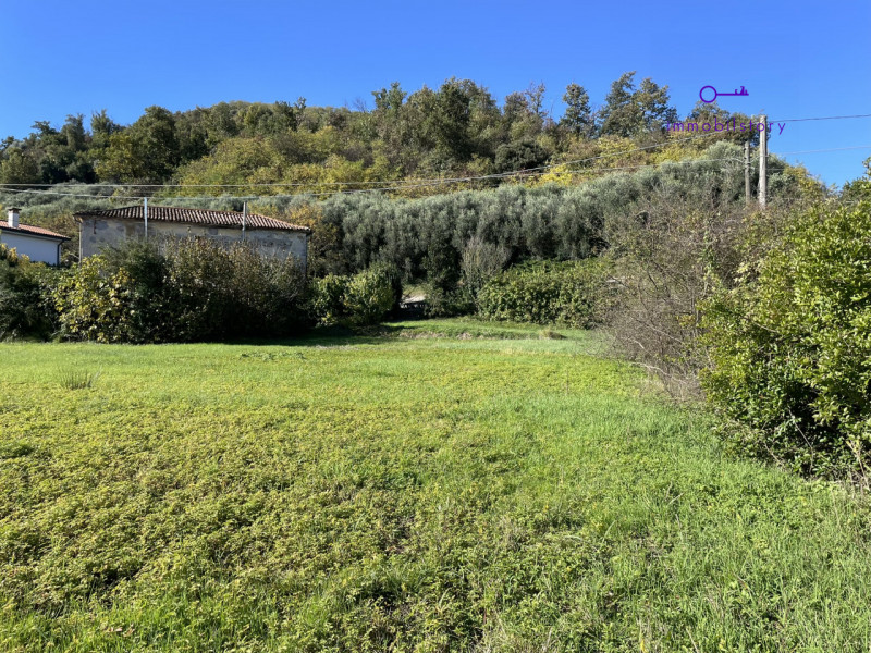 immagine annuncio 4 di 9