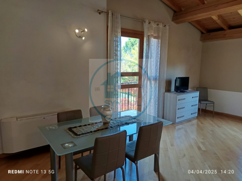 immagine annuncio 1 di 9