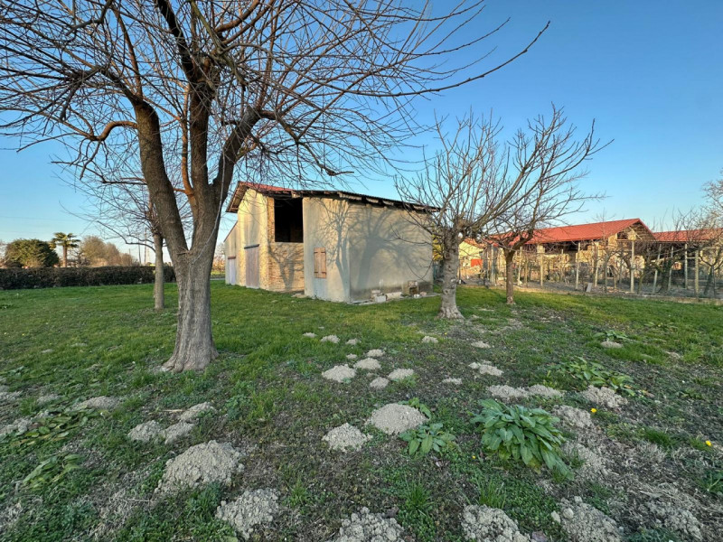 immagine annuncio 2 di 4