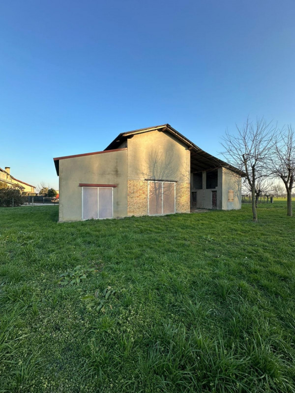 immagine annuncio 3 di 4