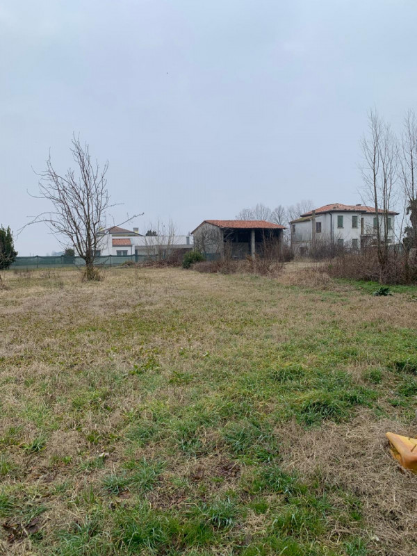 immagine annuncio 3 di 4