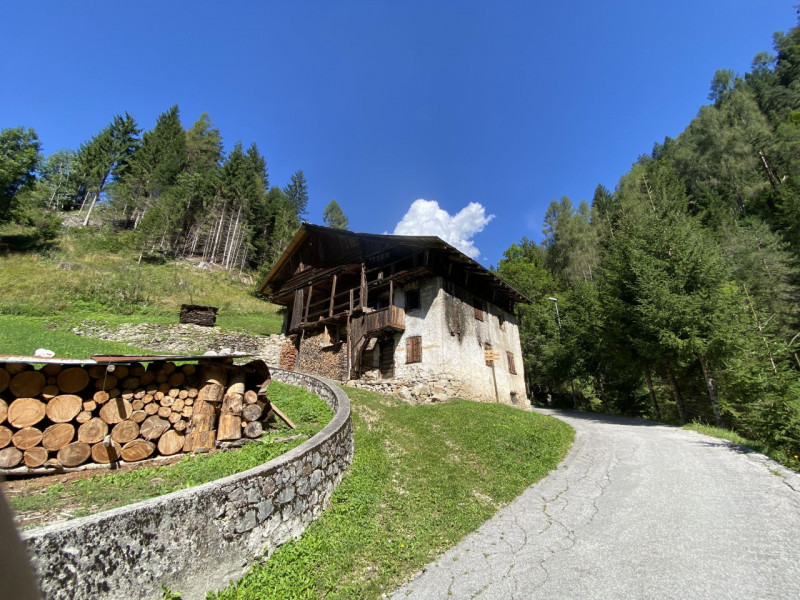 immagine annuncio 5 di 6