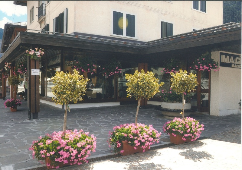 immagine annuncio 3 di 4