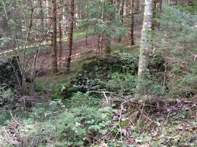 immagine annuncio 4 di 10