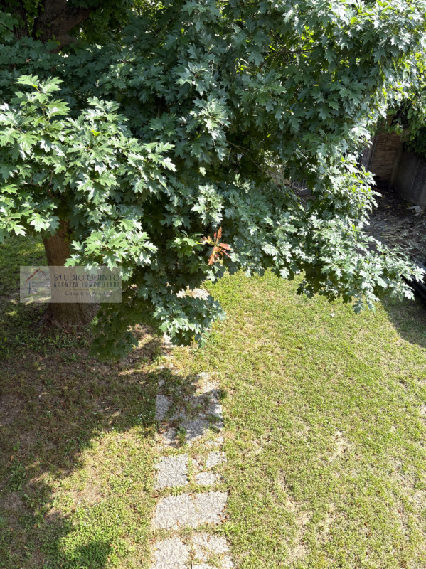 immagine annuncio 5 di 9
