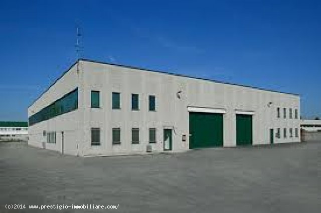 immagine annuncio 2 di 10