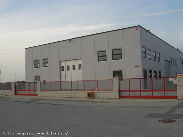 immagine annuncio 9 di 10