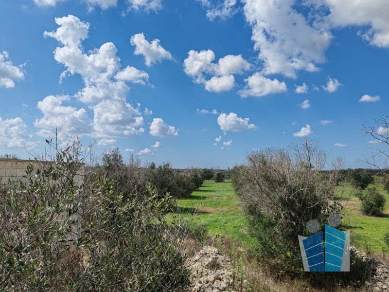 immagine annuncio 6 di 8