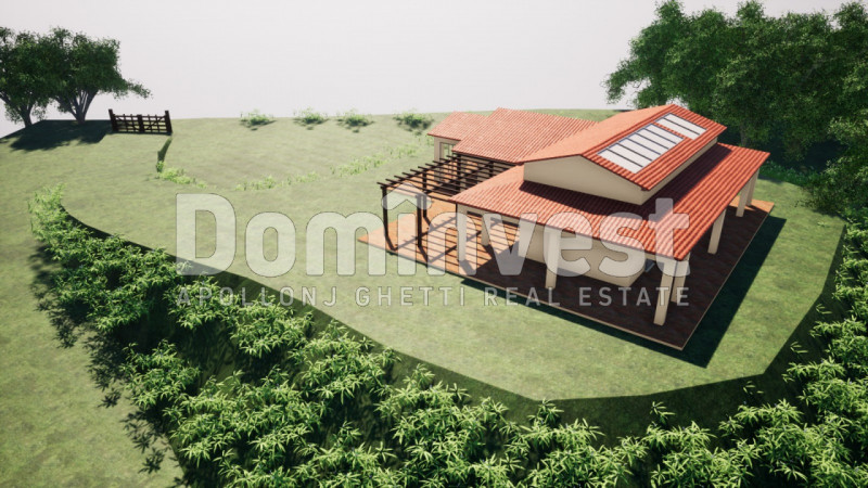 immagine annuncio 7 di 8