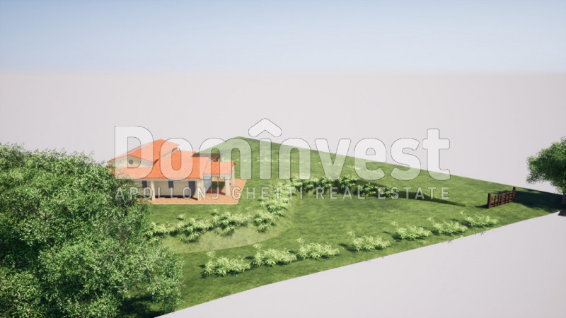 immagine annuncio 1 di 8