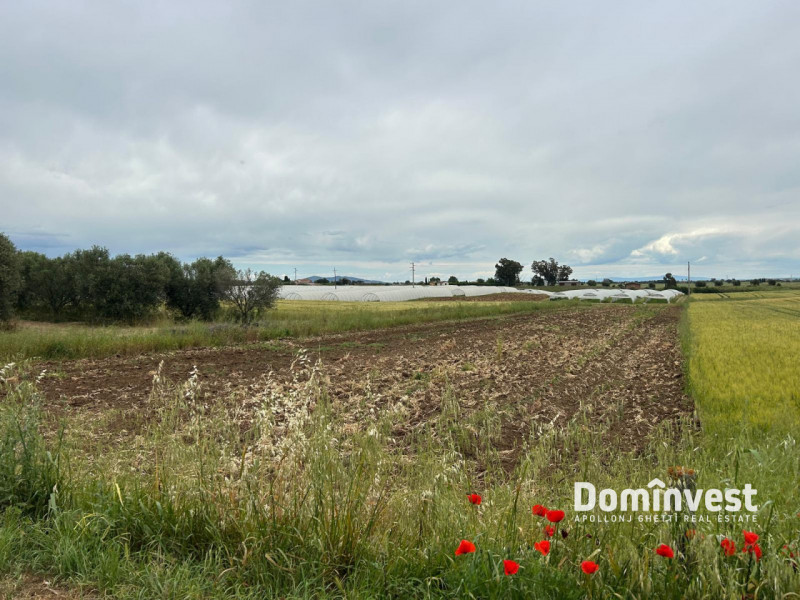 immagine annuncio 3 di 9